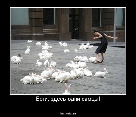 Беги, здесь одни самцы!
