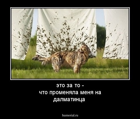 это за то - что променяла меня на далматинца