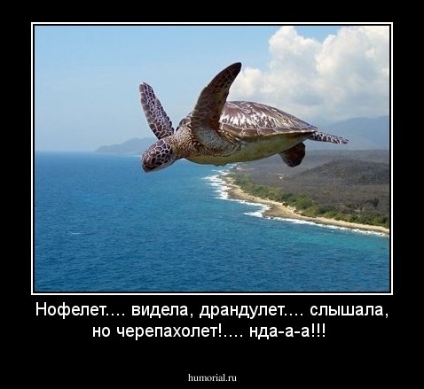 Нофелет.... видела, драндулет.... слышала, но черепахолет!.... нда-а-а!!!