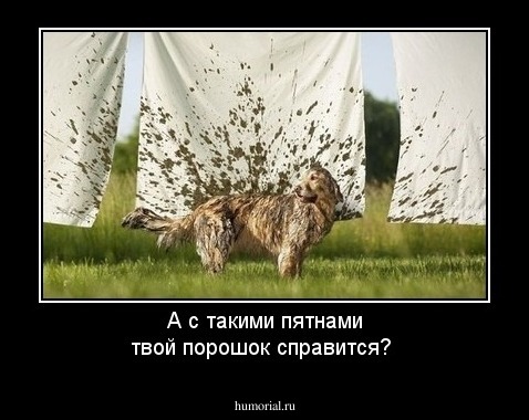 А с такими пятнами твой порошок справится?