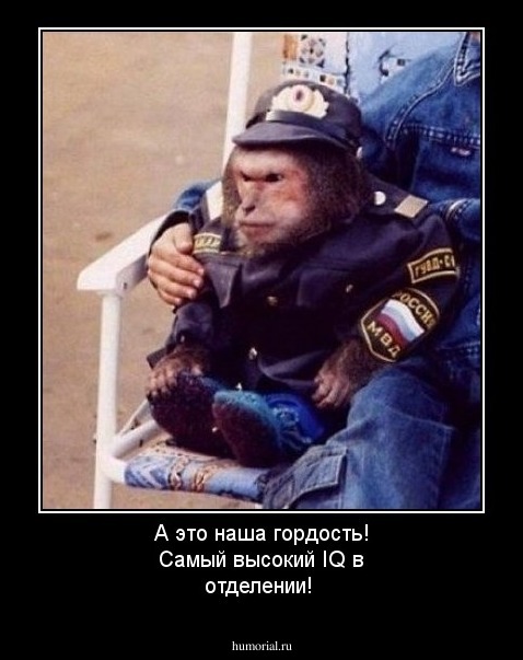 А это наша гордость! Самый высокий IQ в отделении!