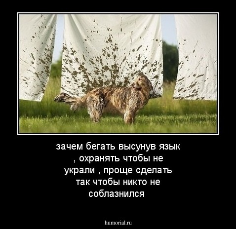 зачем бегать высунув язык , охранять чтобы не украли , проще сделать так чтобы никто не соблазнился