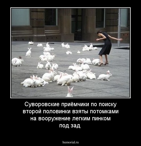 Суворовские приёмчики по поиску второй половинки взяты потомками на вооружение легким пинком под зад