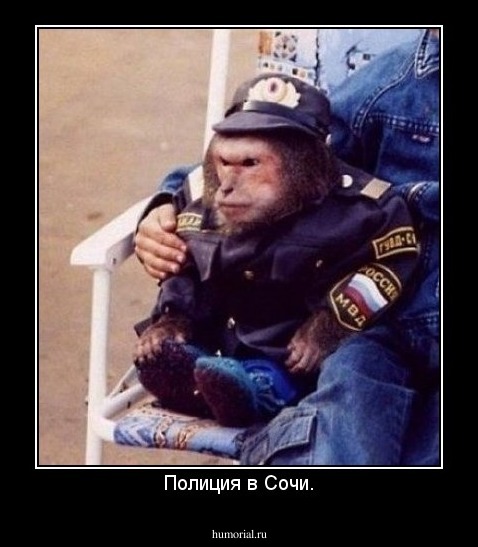 Полиция в Сочи.