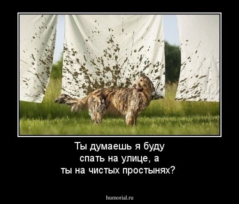 Ты думаешь я буду спать на улице, а ты на чистых простынях? 