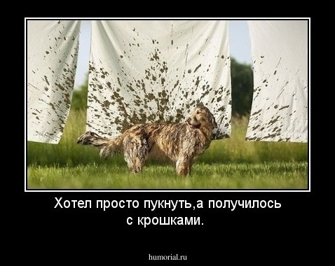 Хотел просто пукнуть,а получилось с крошками.