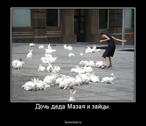 Дочь деда Мазая и зайцы.