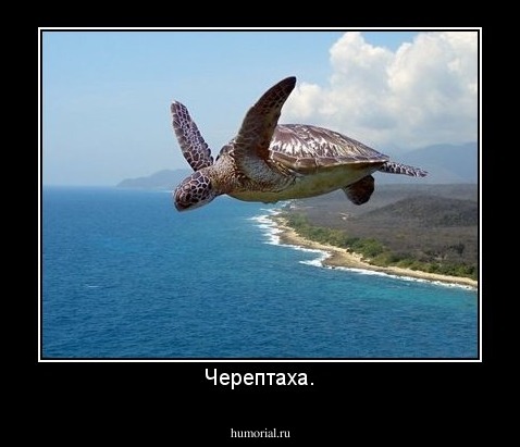Черептаха.