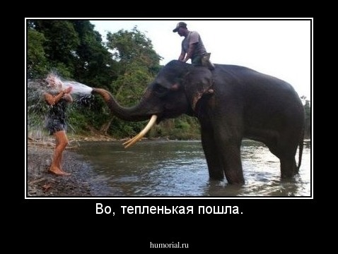 Во, тепленькая пошла.