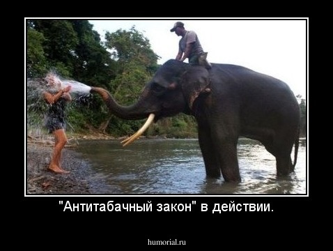 "Антитабачный закон" в действии.
