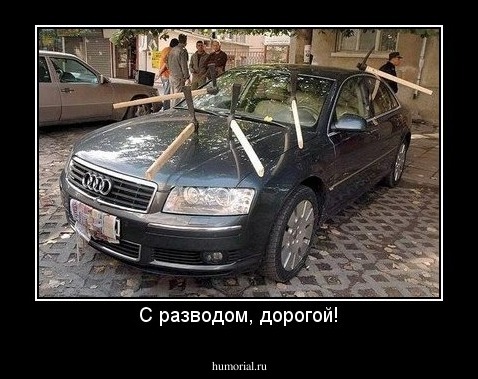 С разводом, дорогой!