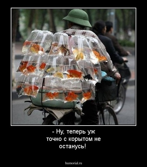 - Ну, теперь уж точно с корытом не останусь!
