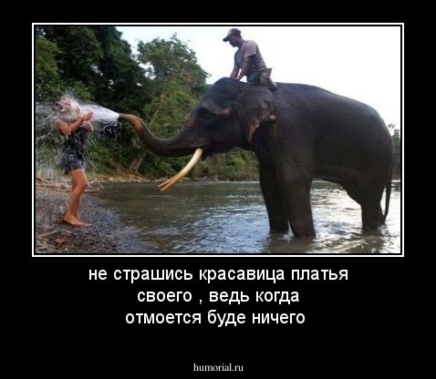 не страшись красавица платья своего , ведь когда отмоется буде ничего