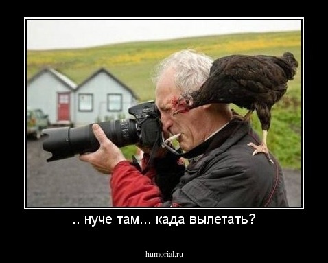 .. нуче там... када вылетать?