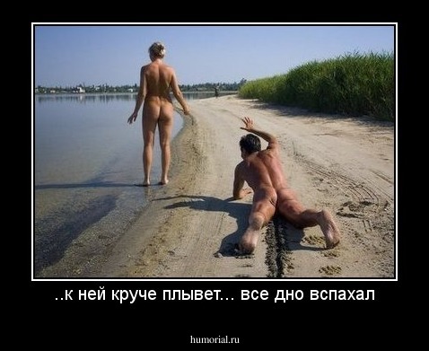 ..к ней круче плывет... все дно вспахал
