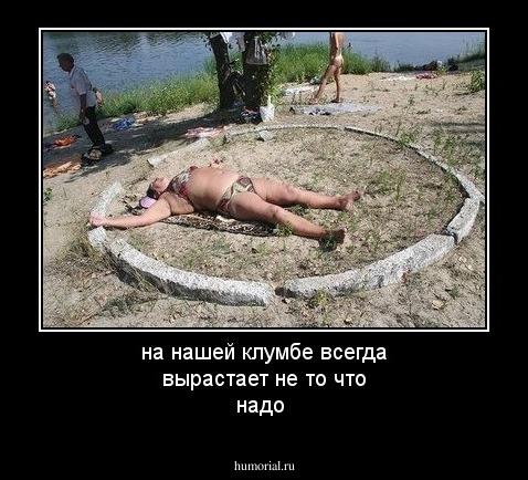 на нашей клумбе всегда вырастает не то что надо