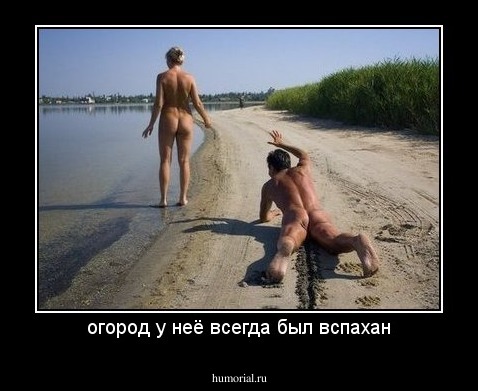 огород у неё всегда был вспахан