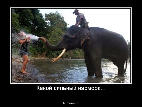 Какой сильный насморк...