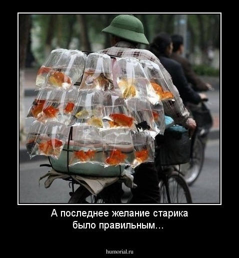 А последнее желание старика было правильным...