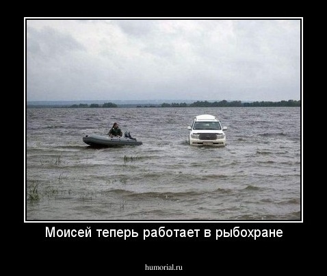 Моисей теперь работает в рыбохране