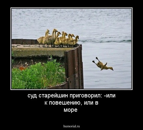 суд старейшин приговорил: -или к повешению, или в море