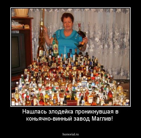 Нашлась злодейка проникнувшая в коньячно-винный завод Маглив!