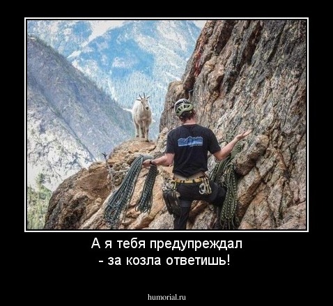 А я тебя предупреждал - за козла ответишь!