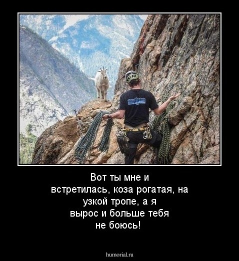 Вот ты мне и встретилась, коза рогатая, на узкой тропе, а я вырос и больше тебя не боюсь!