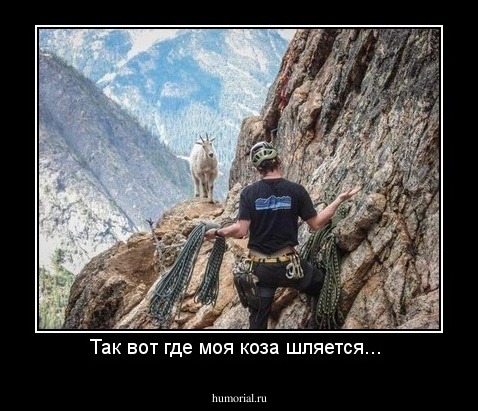 Так вот где моя коза шляется... 