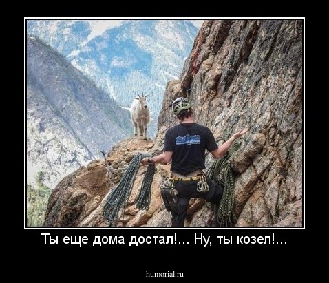 Ты еще дома достал!... Ну, ты козел!...