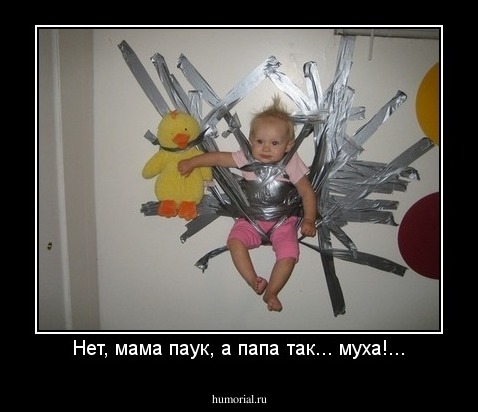 Нет, мама паук, а папа так... муха!...