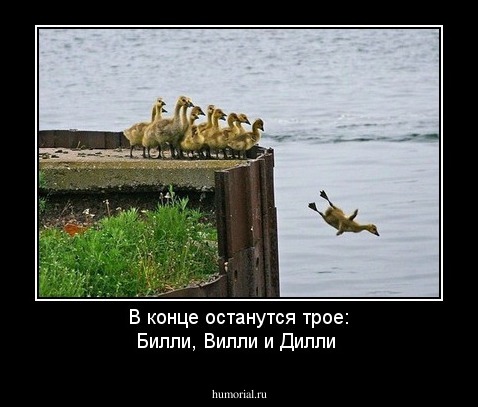 В конце останутся трое: Билли, Вилли и Дилли