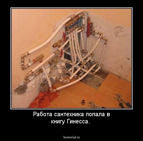 Работа сантехника попала в книгу Гинесса.