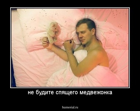 не будите спящего медвежонка