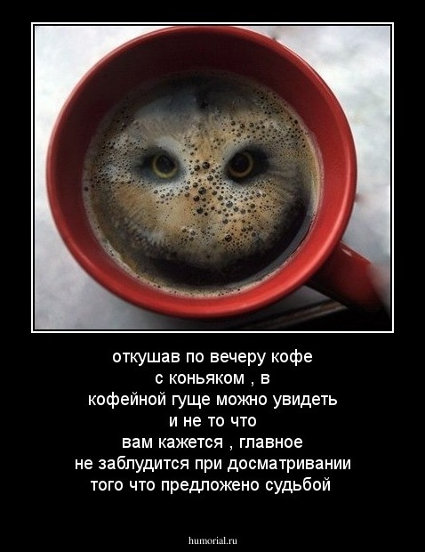 откушав по вечеру кофе с коньяком , в кофейной гуще можно увидеть и не то что вам кажется , главное не заблудится при досматривании того что предложено судьбой