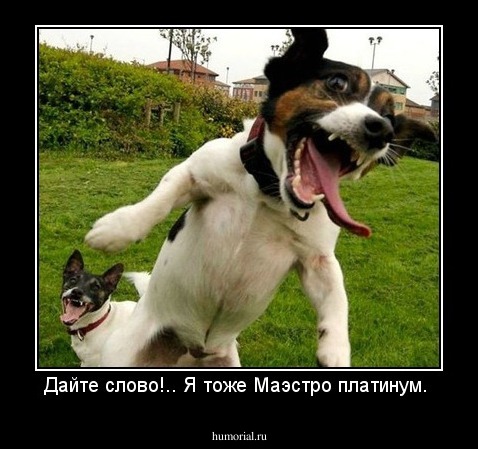Дайте слово!.. Я тоже Маэстро платинум. 