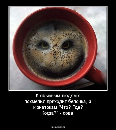 К обычным людям с похмелья приходит белочка, а к знатокам "Что? Где? Когда?" - сова