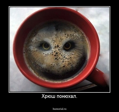 Хрюш понюхал.