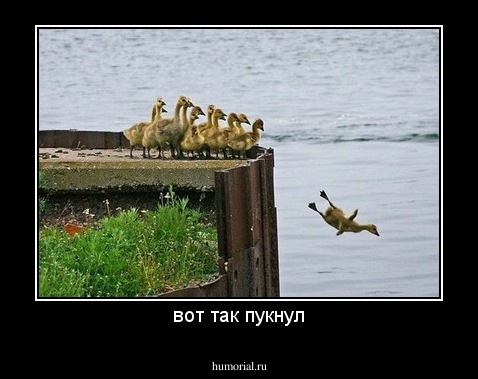 вот так пукнул