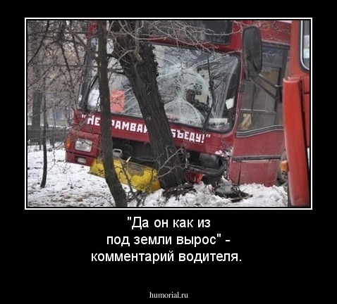 "Да он как из под земли вырос" - комментарий водителя.