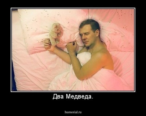 Два Медведа.
