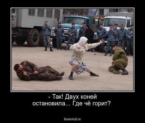 - Так! Двух коней остановила... Где чё горит?