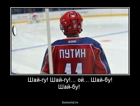 Шай-гу! Шай-гу!... ой... Шай-бу! Шай-бу!  