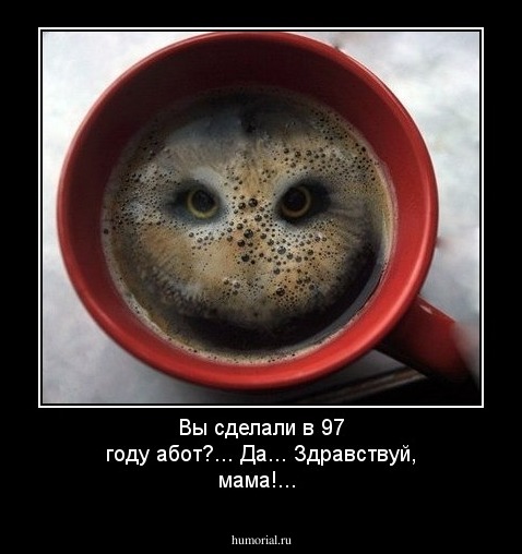 Вы сделали в 97 году абот?... Да... Здравствуй, мама!...