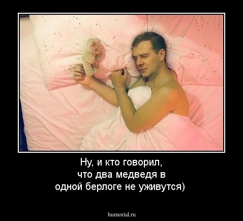 Ну, и кто говорил, что два медведя в одной берлоге не уживутся)