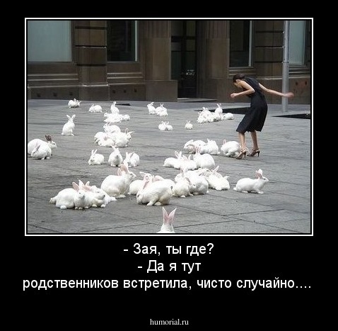 - Зая, ты где?
-  Да я тут родственников встретила, чисто случайно....