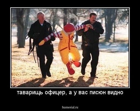 таварищь офицер, а у вас писюн видно
