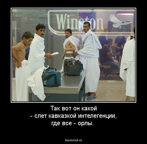 Так вот он какой - слет кавказкой интелегенции, где все - орлы.