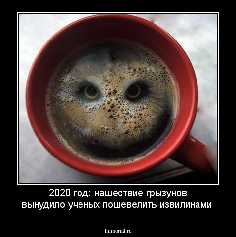 2020 год: нашествие грызунов вынудило ученых пошевелить извилинами