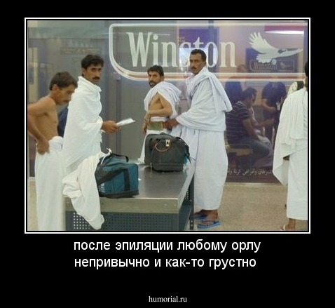 после эпиляции любому орлу непривычно и как-то грустно